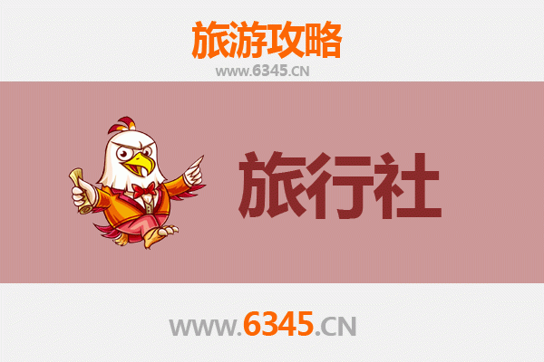 万宁山根镇本地旅行社推荐与深度游玩攻略